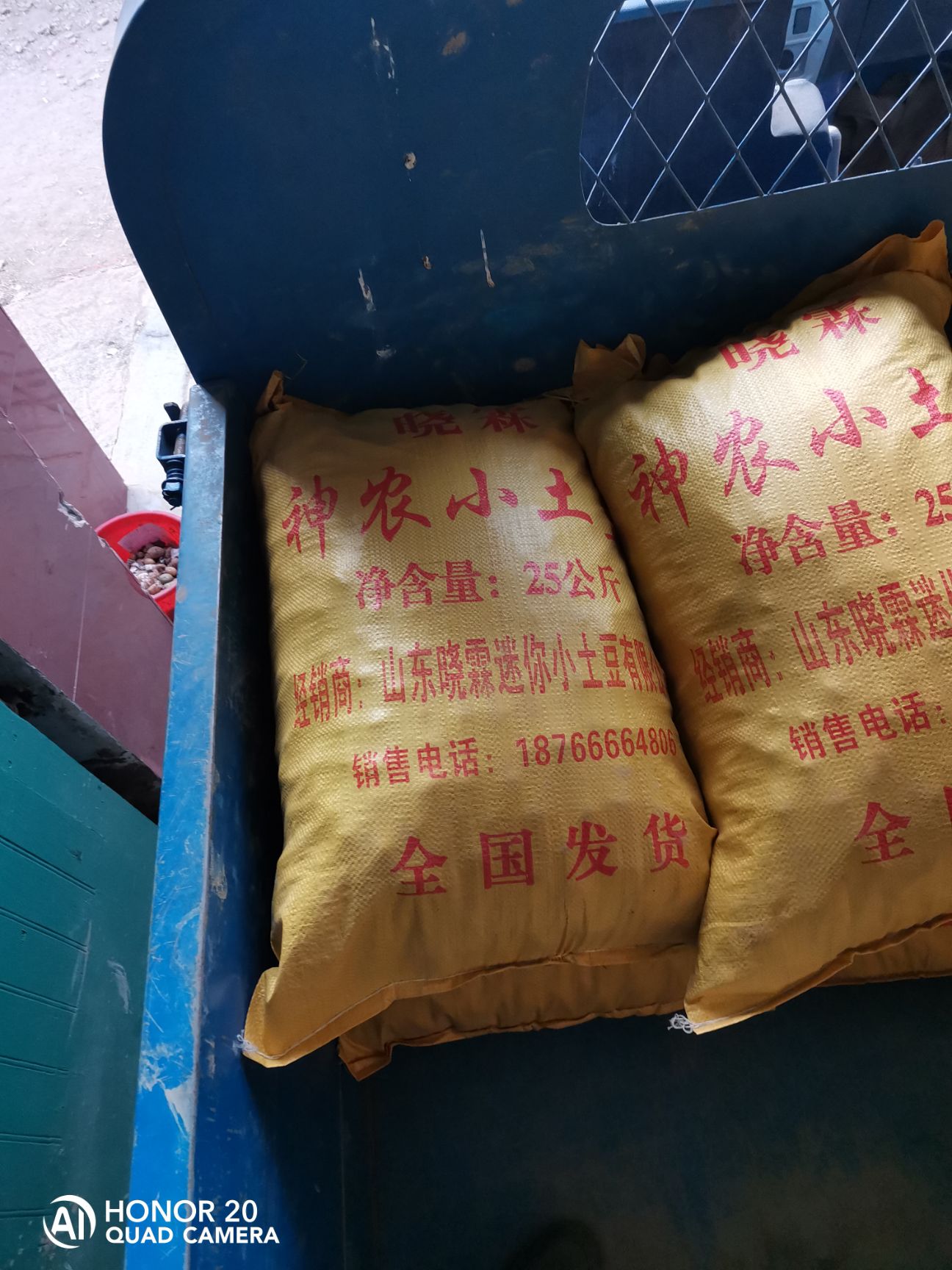 2025年新鲜小土豆
常年供应各种规格迷你小土豆，