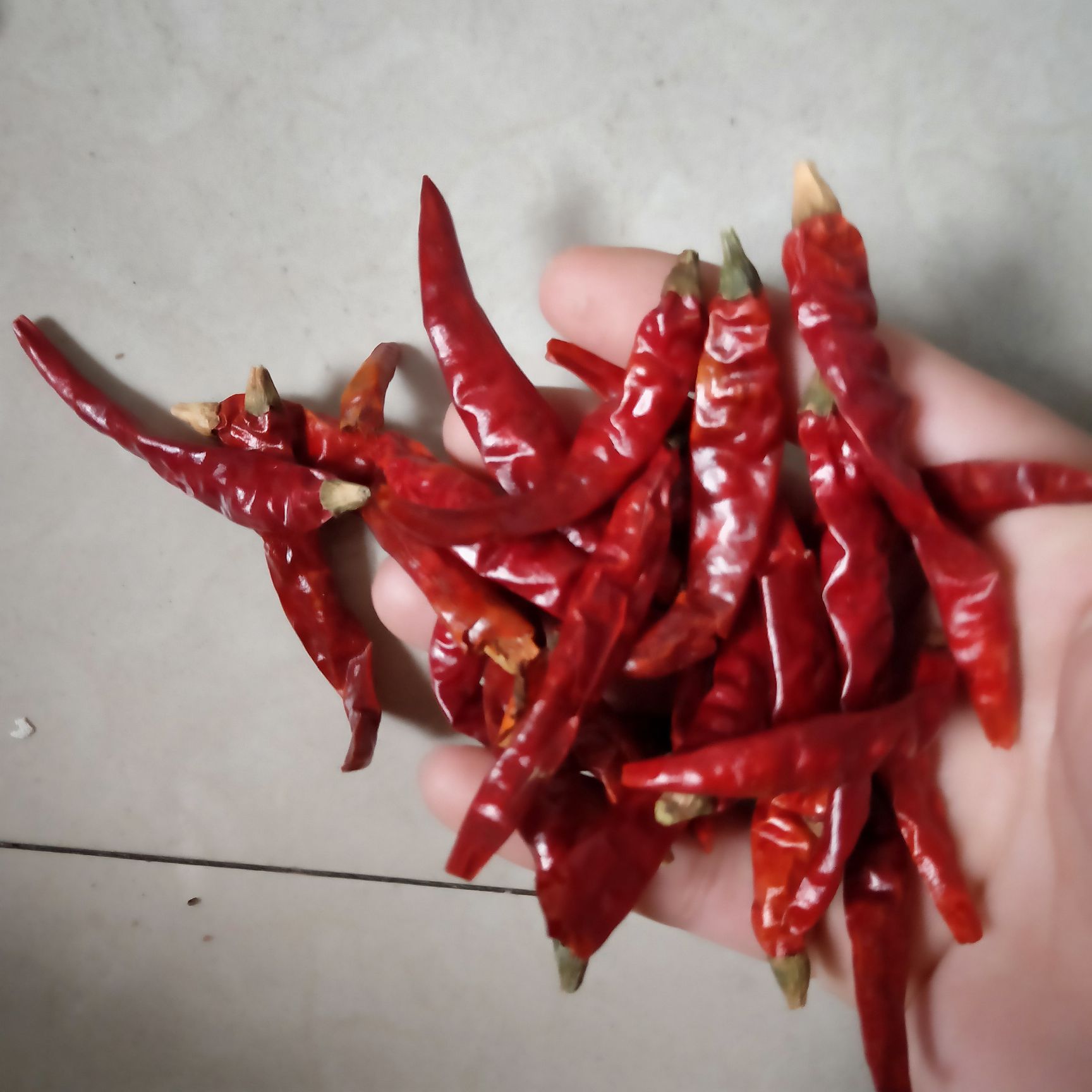 印度干辣椒  印度辣椒 魔鬼干辣椒 切断磨粉细粉红辣椒 三樱