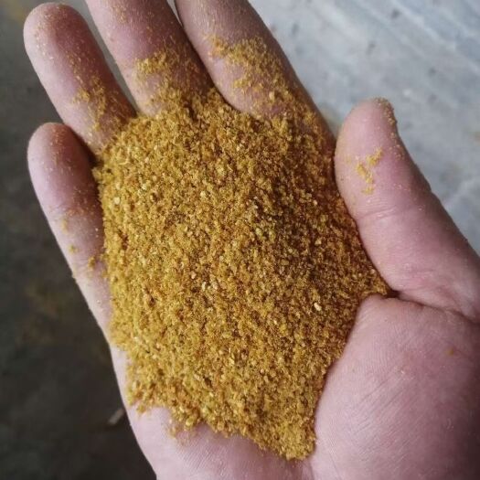 石家庄酒糟  厂家直销  玉米 DDGS（高脂/低脂）