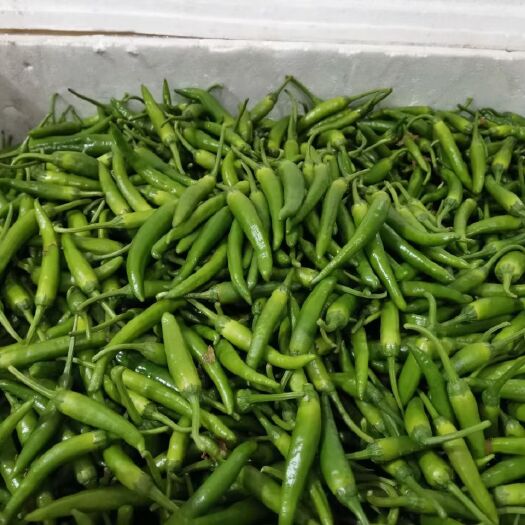 湘阴县 辣椒炒肉才是湘菜的灵魂