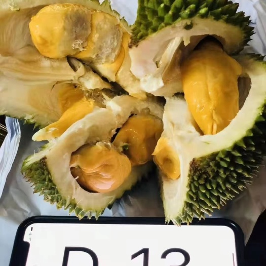 深圳猫山王榴莲  D13产地开启各种名种订货需要提前预订
各种液氮