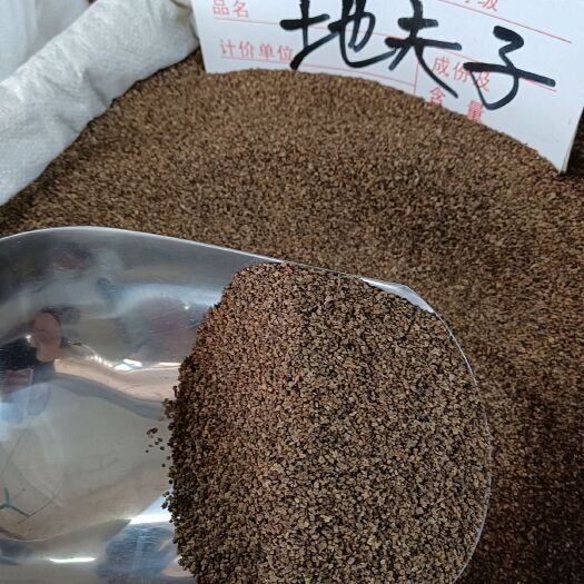 玉林地肤子.地麦.落帚子.独扫子.竹帚子.千头子、帚菜子