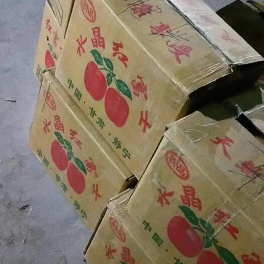 静宁县昭通苹果 静宁冰糖心苹果