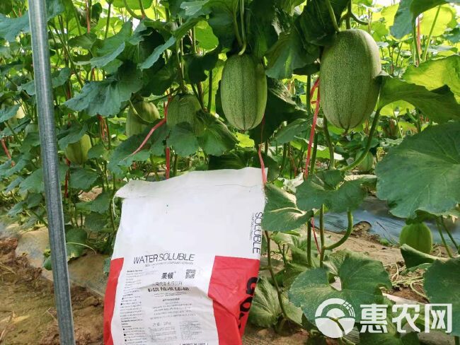 大量元素肥料 水溶肥 膨果增甜上色 果蔬专用肥