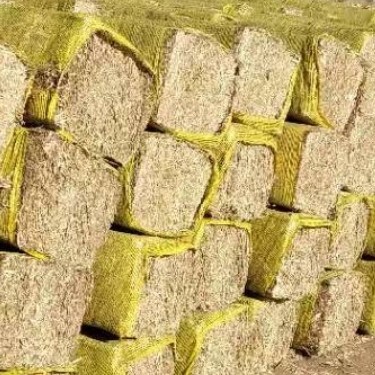 哈尔滨秸秆类饲料 