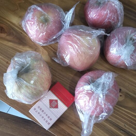 义马市现有1.5万斤，75以上纸加膜红富士苹果，有需要，请联系！