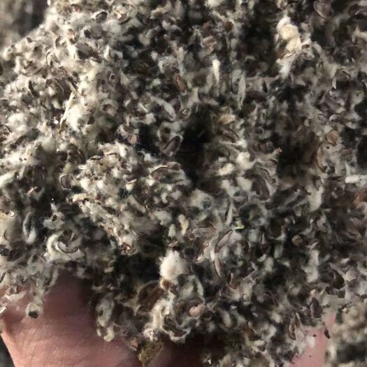 宝鸡棉籽壳 中绒中壳