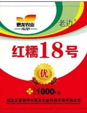 高粱种子红糯26号高粱种子  红糯26号糯高粱新品种