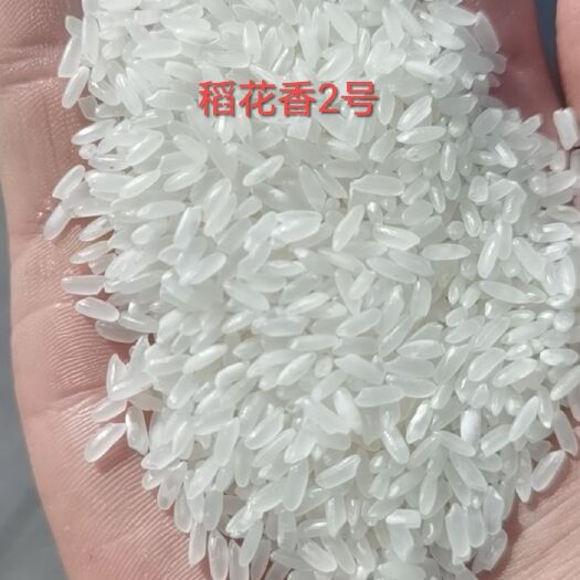 东莞市稻花香二号大米 米香浓郁，一级质量