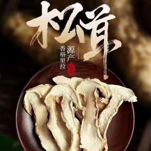 干松茸 松茸云南香格里拉晾晒松茸干片半开伞一斤仅售650一手