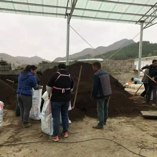 贵阳微生物有机肥 