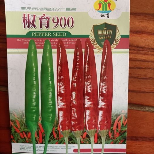 金乡县朝天椒种子  泰国，艳红大果型单生，产量高，抗病强，超高产