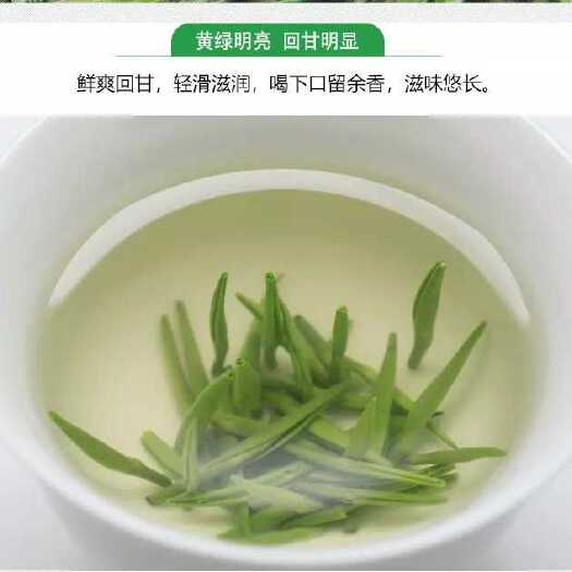 湄潭县雀舌茶  湄潭翠芽2021新茶，欢迎订购
