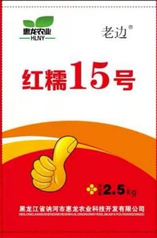 高粱种子红糯26号高粱种子  红糯26号糯高粱新品种