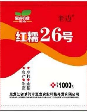 高粱种子红糯26号高粱种子  红糯26号糯高粱新品种