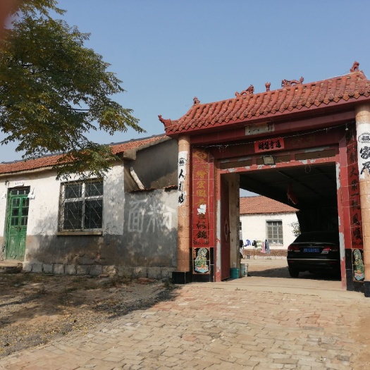 利津县农场 蔬菜，玉米存储，农副产品批发销售，牲畜销售，