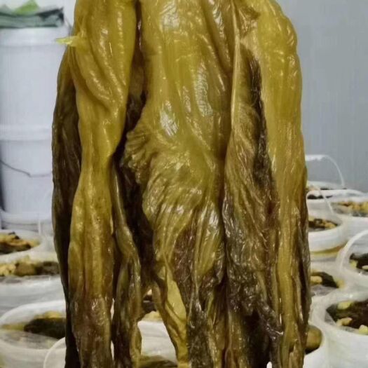 重庆市老坛酸菜  鱼酸菜   酱腌菜