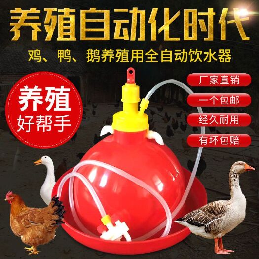 东阳市饮水设备  鸡用自动饮水器普拉松鸭鹅喂水器小鸡加水壶养鸡养殖设备鸡用品