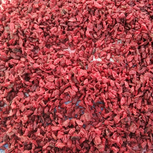 周至县中药材山茱萸  2021新货山茱萸产地直销