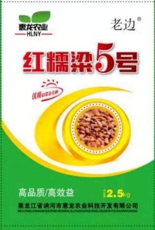 高粱种子红糯26号高粱种子  红糯26号糯高粱新品种