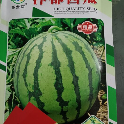通许县美都西瓜种子  汴都西瓜——西瓜换代大品种！