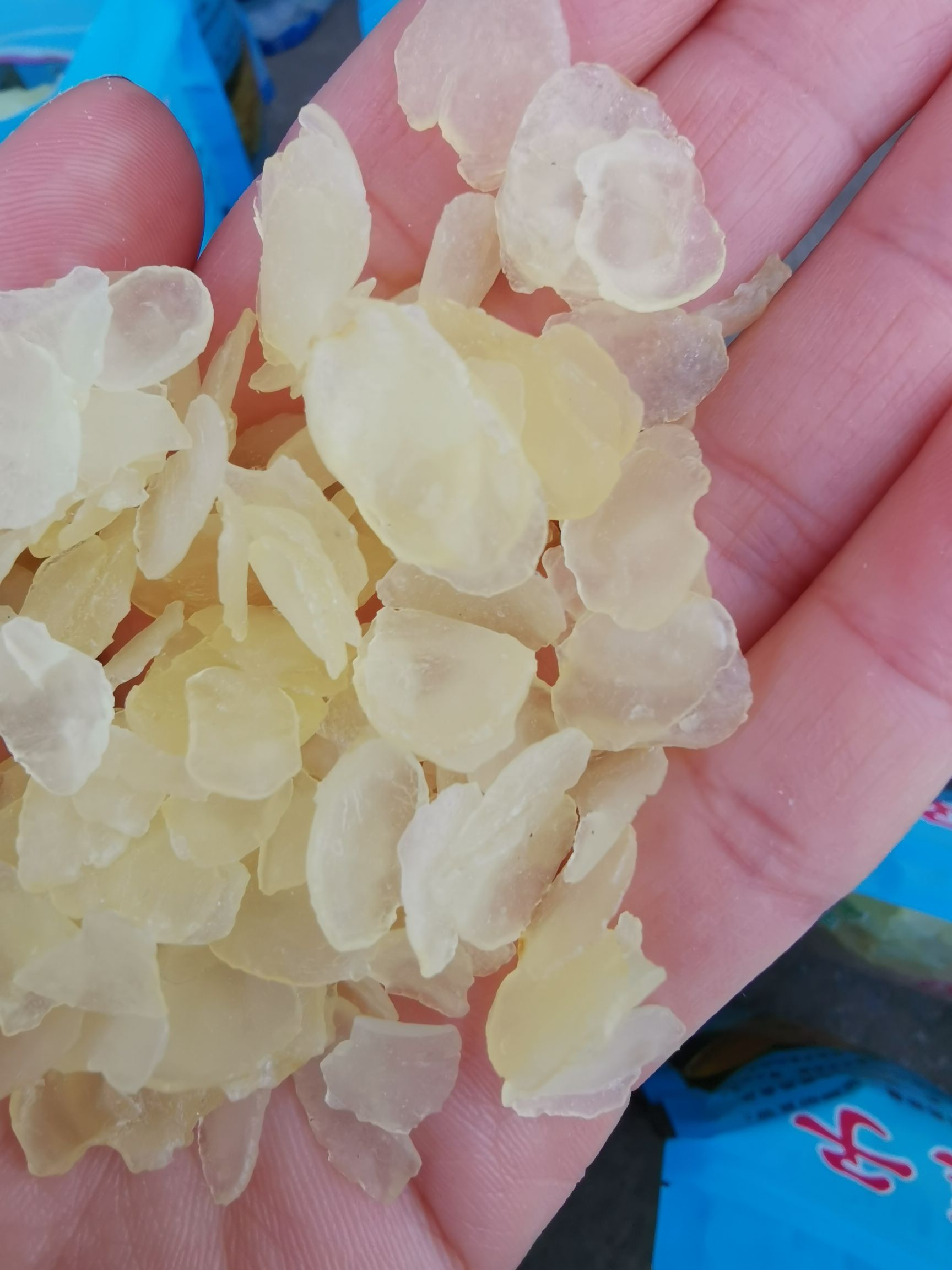 皂角米 无硫净货雪莲子 单荚双荚规格齐全 可供实体店批发零售