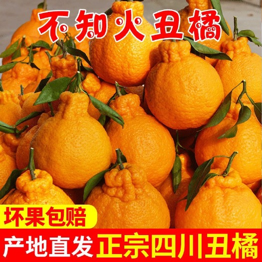 四川丑橘不知火丑八怪橘子当季新鲜水果桔子柑橘丑柑丑桔批发