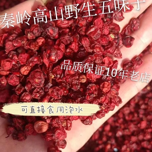 丹凤县北五味子  秦岭山区五味子，品质更高。价值更好。