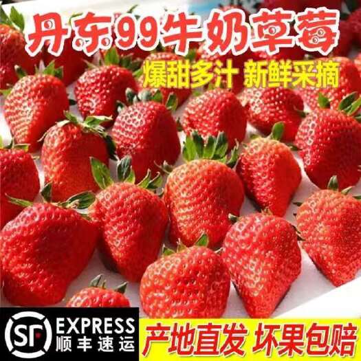 东港市辽宁东港正宗九九草莓低价销售30元一斤包邮