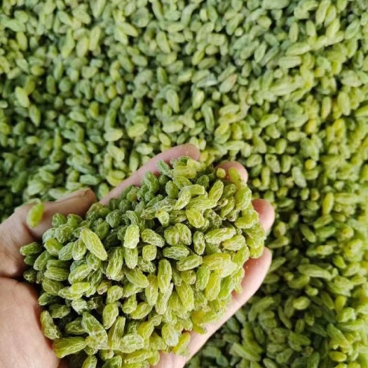 鄯善县无核葡萄干 1年