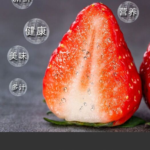 庄河市九九红颜草莓  欢迎来电咨询