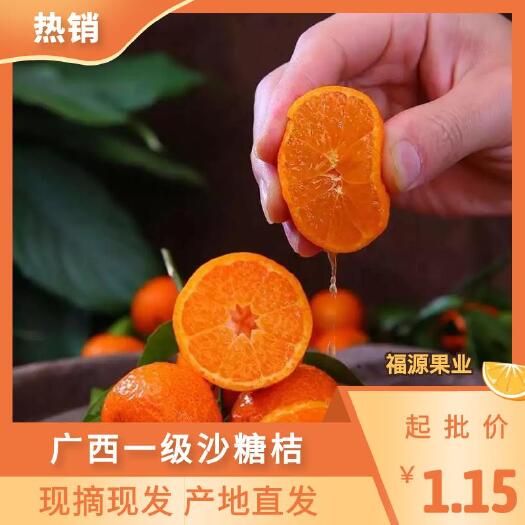 钟山县广西沙糖桔，实地看果采摘，专业代办，洗果打蜡，包装服务。