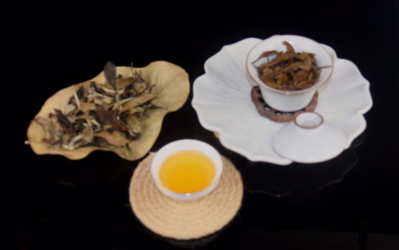 昆明月光白 3年以上 