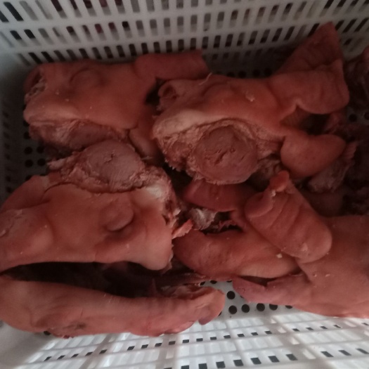 猪肉类  猪头肉，全瘦头，有肥头你退货