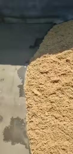 南充啤酒糟