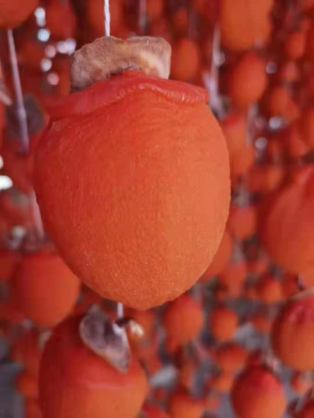 桂林柿饼 6-12个月 