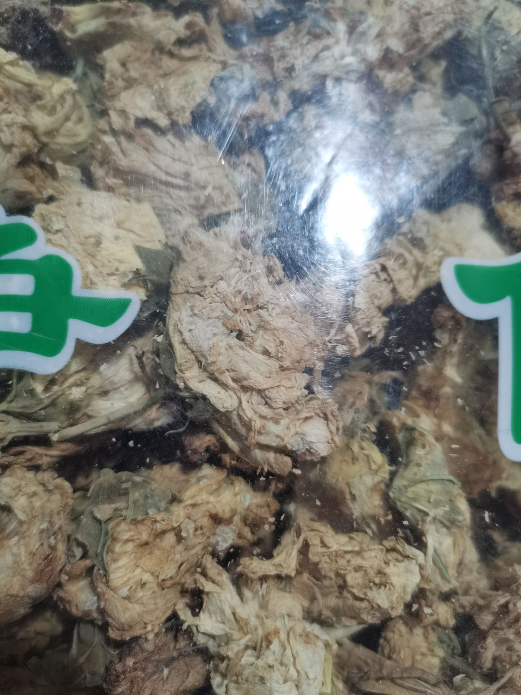 灯盏细辛 中药材灯盏花 无硫熏 实拍图 批发零售 包邮到家