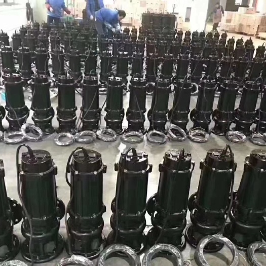 永嘉县排污泵 