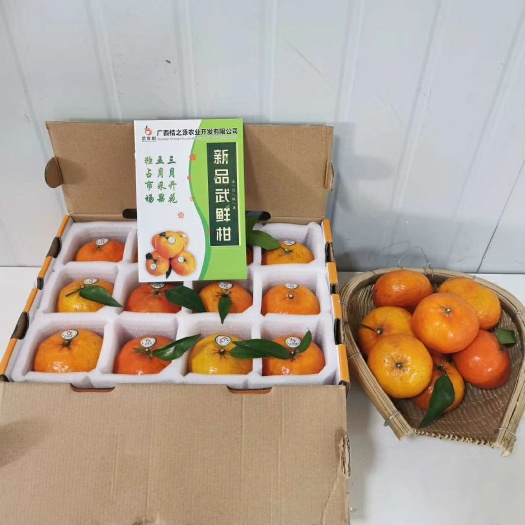  新品柑橘 武鲜柑 柑橘生鲜水果