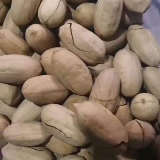 成都🔥《碧根果》一箱10斤，一手货源，，地摊暴利