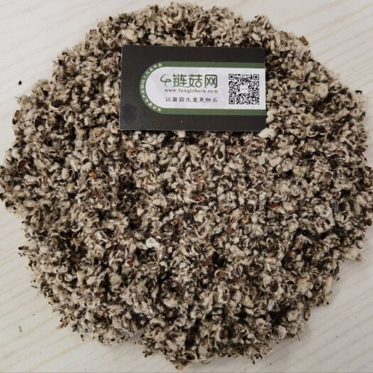 钦州棉籽壳  广西地区供应优质中壳中绒棉壳，菌菇生产可选