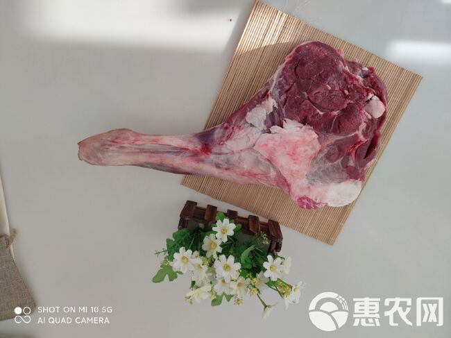 羊肉类  山羊肉 甘肃环县羊肉批发