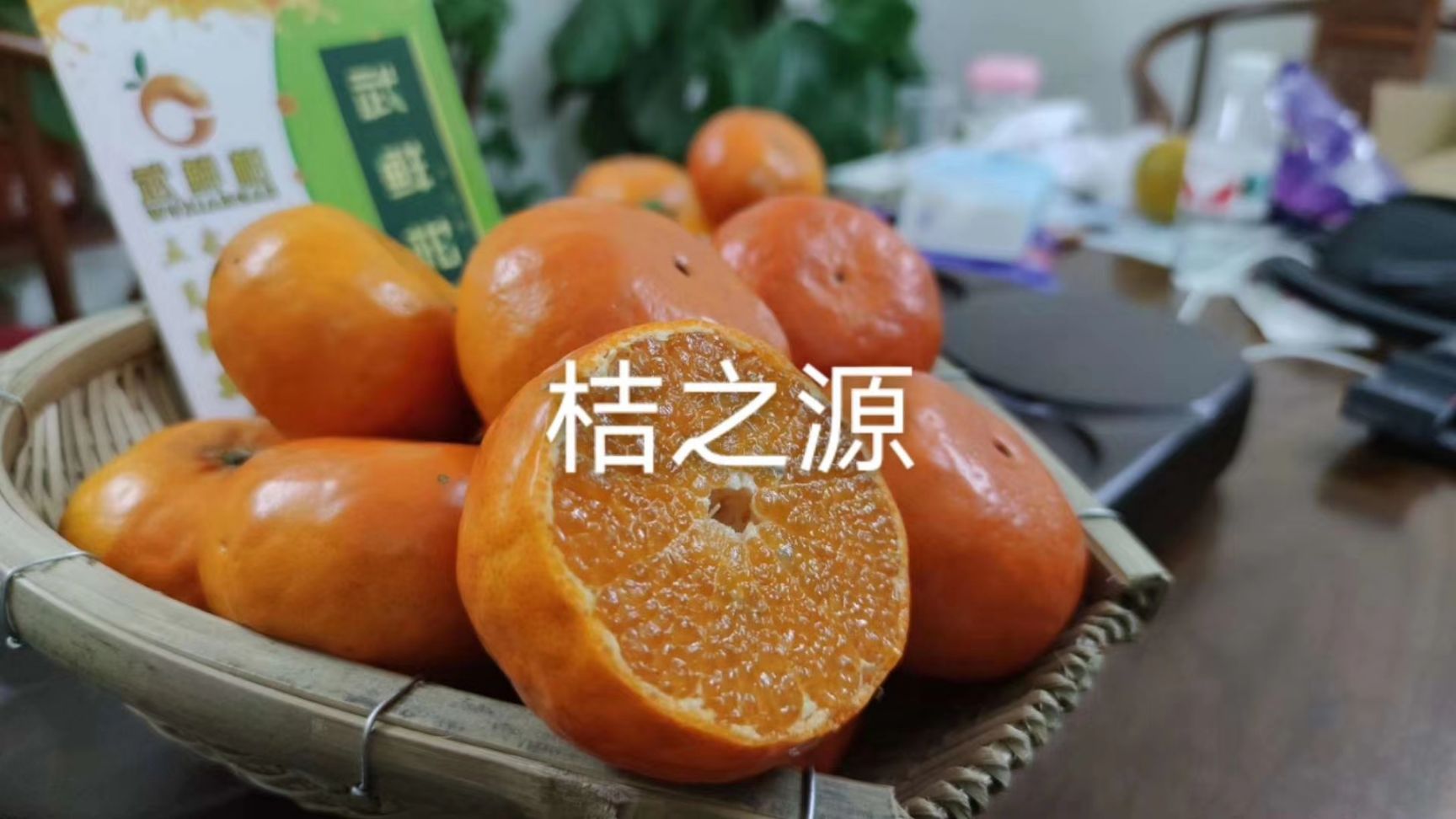  新品柑橘 武鲜柑 柑橘生鲜水果