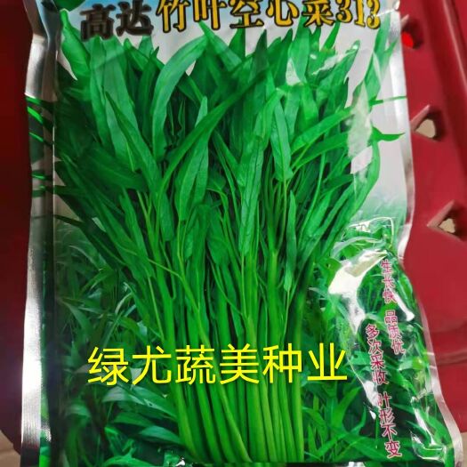 空心菜种子 高达泰国竹叶空心菜 多次采收，叶型不变。