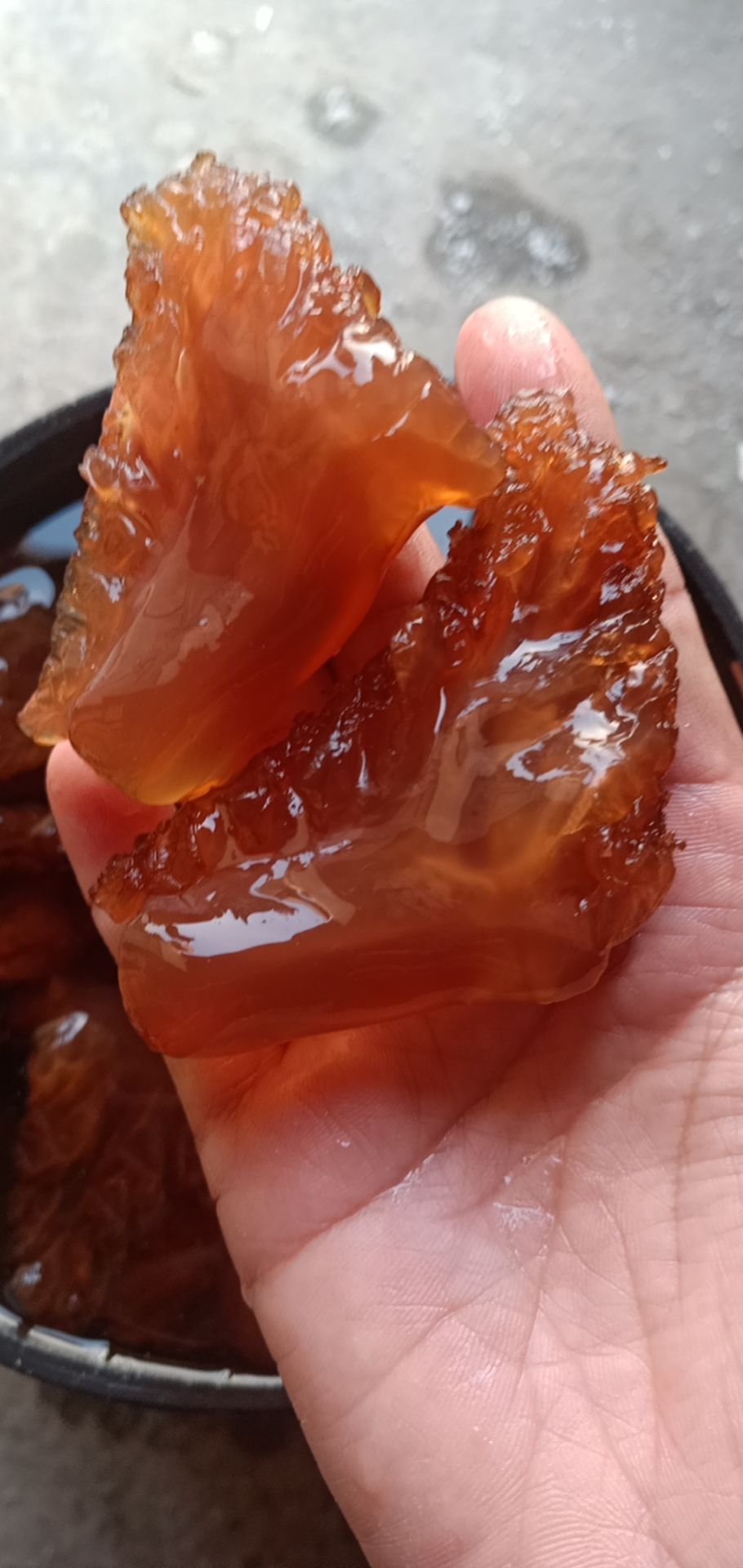 海蜇头 红头单角，大量现货，产地直销