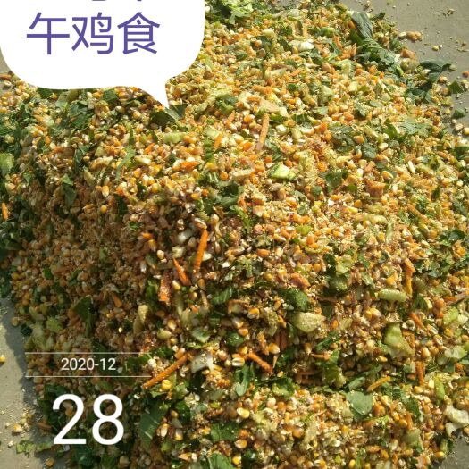 淳安县五黑鸡  正宗土鸡
