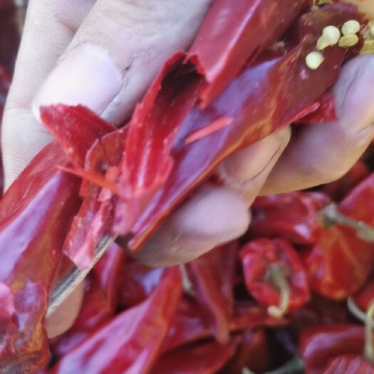 开鲁县北京红干辣椒  大量供应内蒙开鲁北京红干椒各种花皮