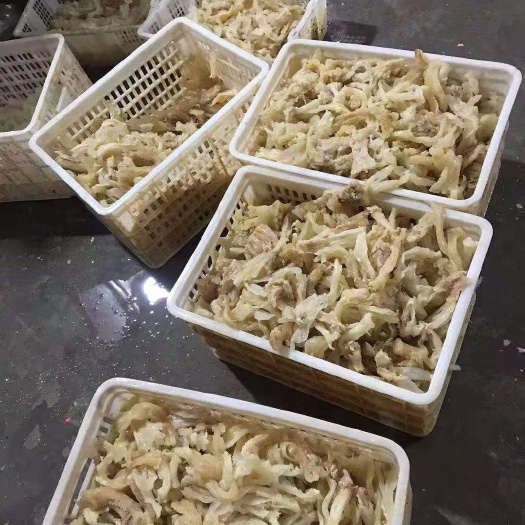 重庆市牛筋《水发牛副筋》牛筋净重十斤一包，带保鲜水11斤左右