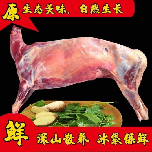 羊肉类  山羊肉 甘肃环县羊肉批发