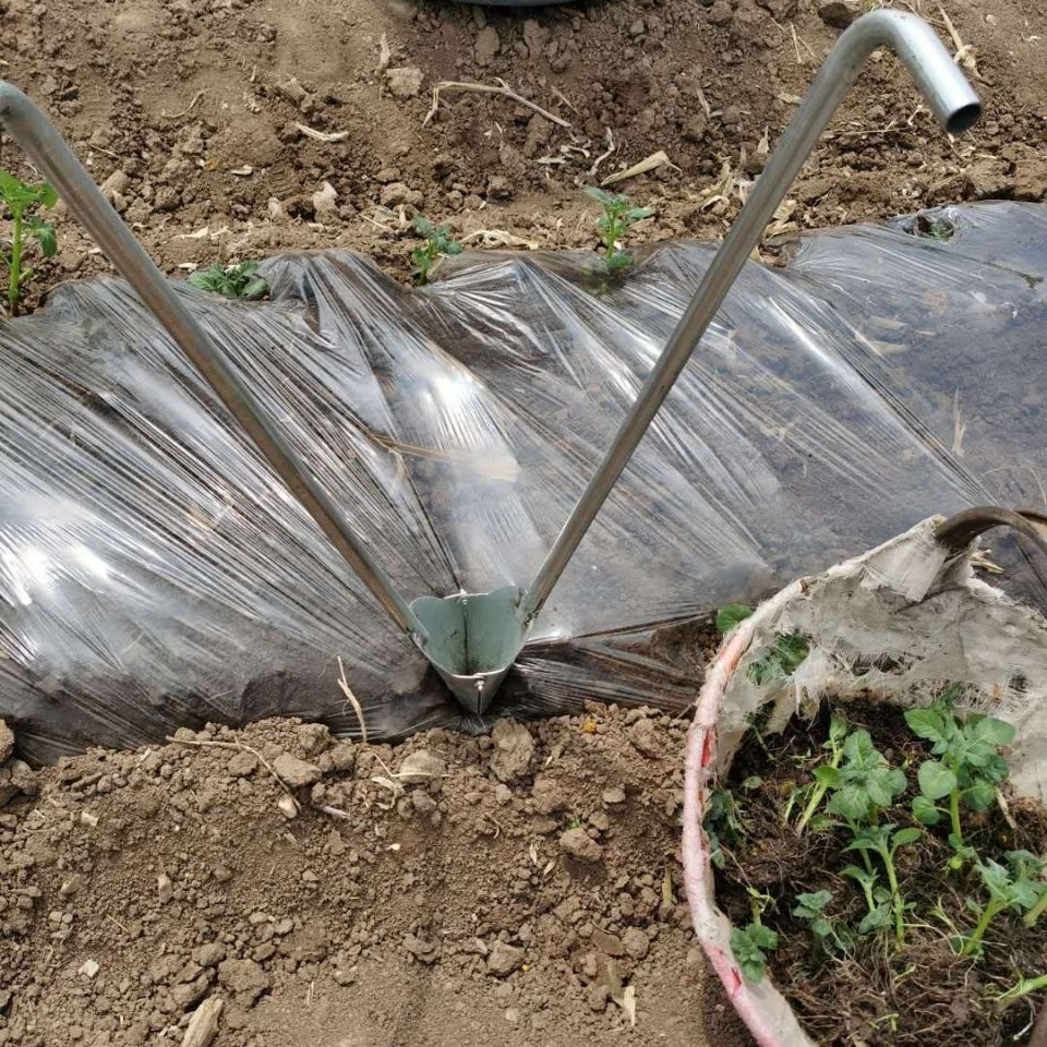 移栽机 栽苗托挖苗托秒栽辣椒苗定植器移栽蔬菜农用工具手动